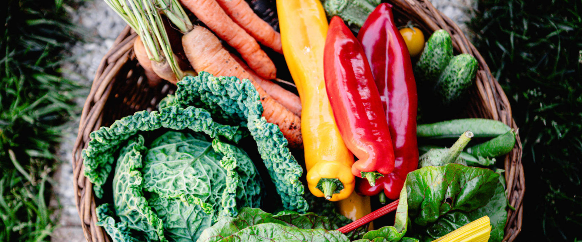 The Top 14 Nutrient-Rich Vegetables for Optimal Health