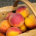 How to Blanch Peaches to Maximize the Freshness of Farm Produce